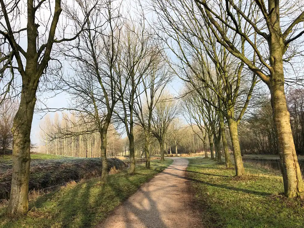 Bomen